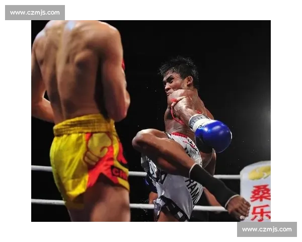 以杀玉狼vs播求世纪对决揭示泰拳力量与意志巅峰之战传奇再现篇